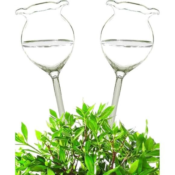 Plant Waterer Self Watering Globes Self Watering Spikes, Hand Blown Clear Glass - Picture 1 of 7